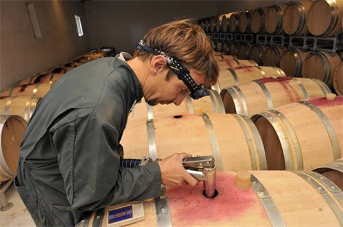 送白酒好还是红酒好(送白酒有哪些优势)