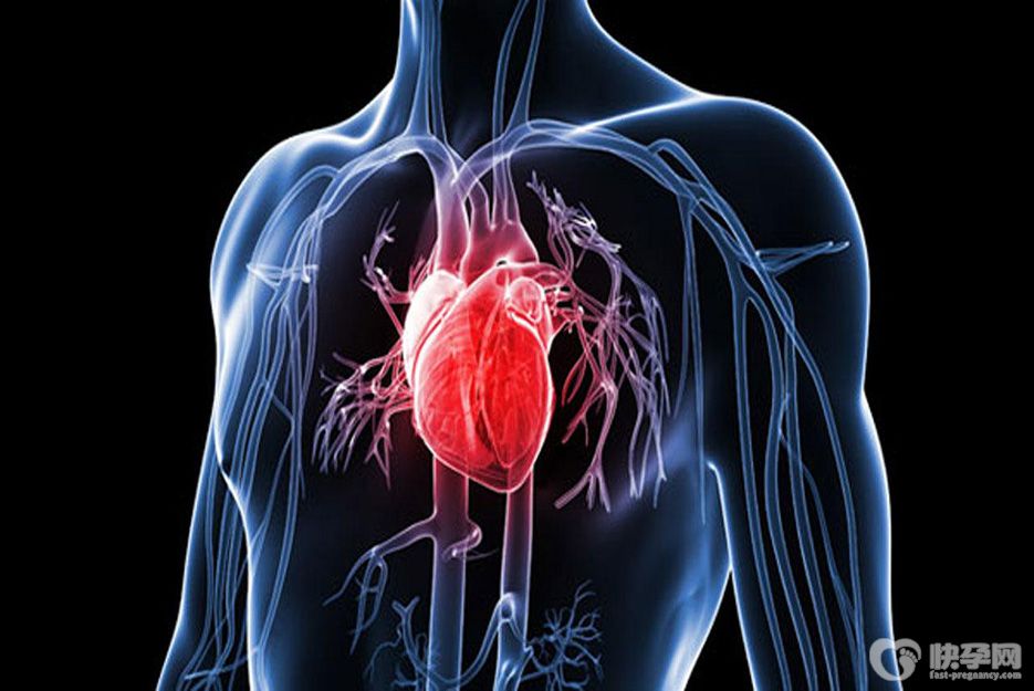 心脏早搏是怎么回事(有什么危害)